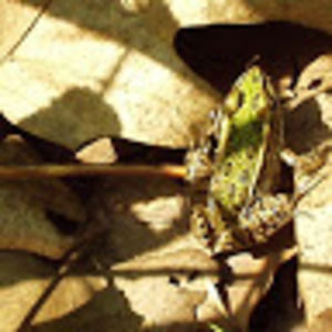 Meet your Posher, Heath